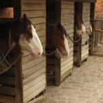 Ballarat - Sovereign Hill